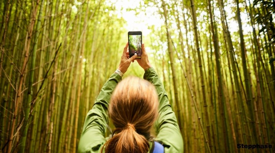 sell your photos online