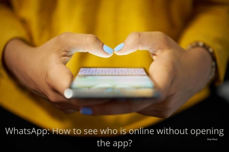 who is online on WhatsApp